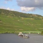 Mosel 2012