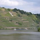 Mosel 2013