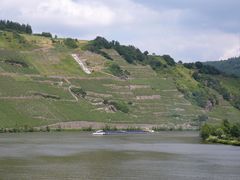 Mosel 2013