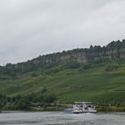 Mosel 2014