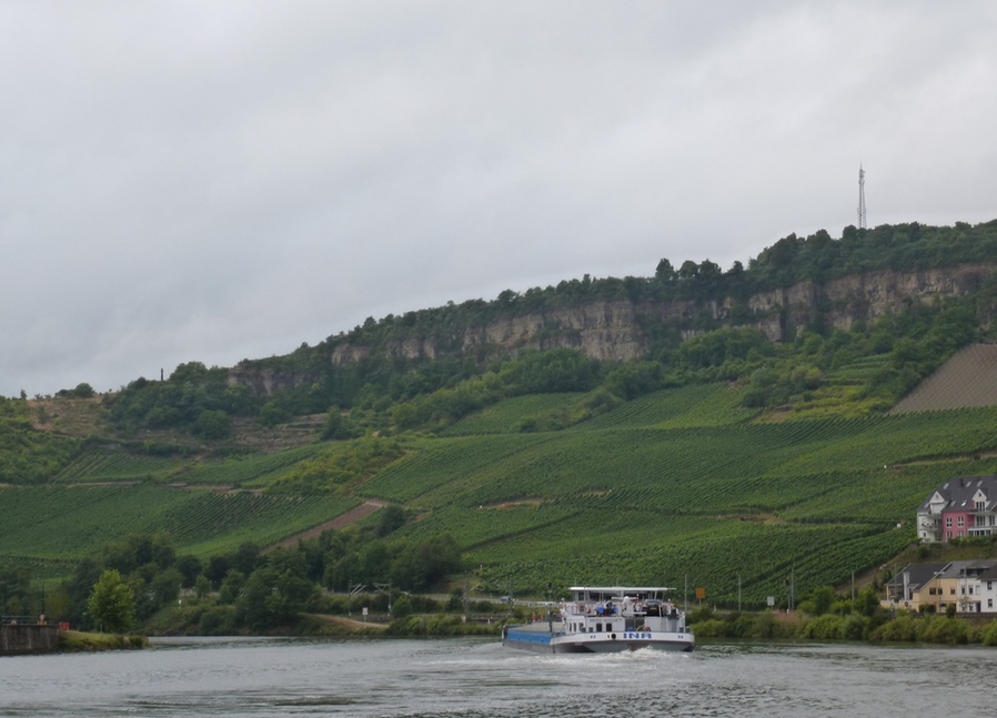 Mosel 2014