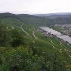 Mosel 2017 - Piesport