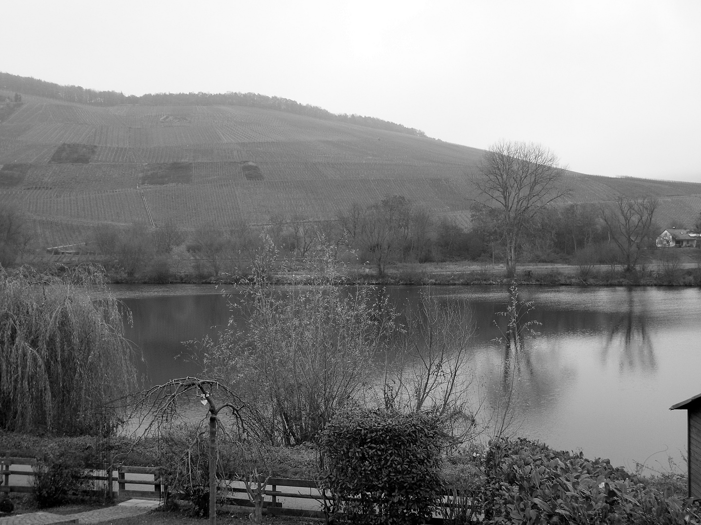 Mosel (3)