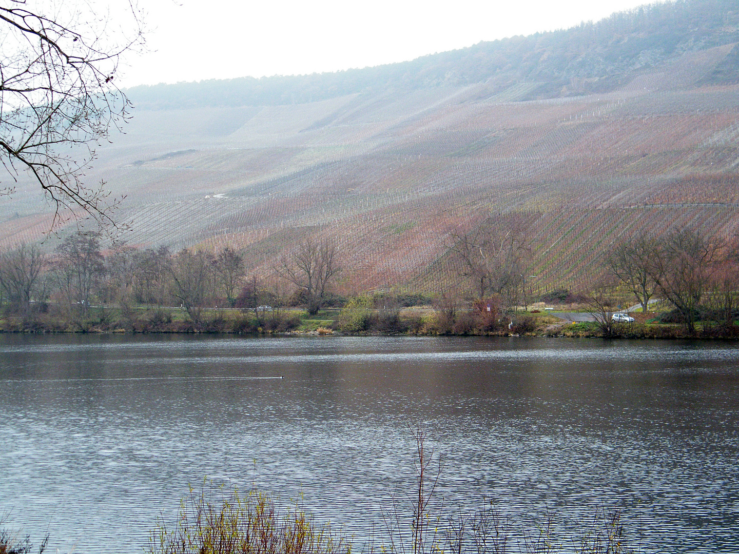 Mosel (4)