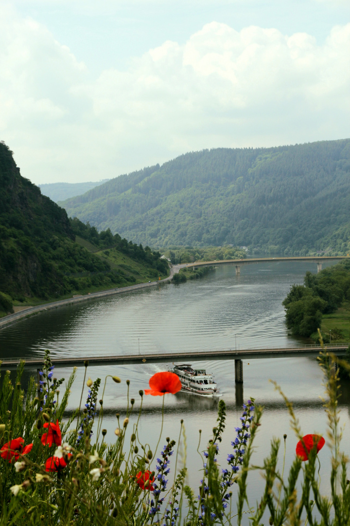 Mosel