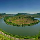 Mosel