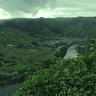 Mosel