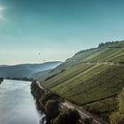 Mosel