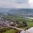 Mosel