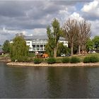 Mosel am Rhein