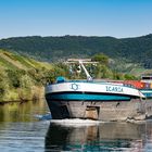 Mosel - Begegnung mit dem Frachtschiff "Icaria"