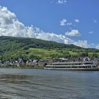 Mosel bei Briedern