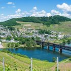 Mosel bei Bullay (1.3)