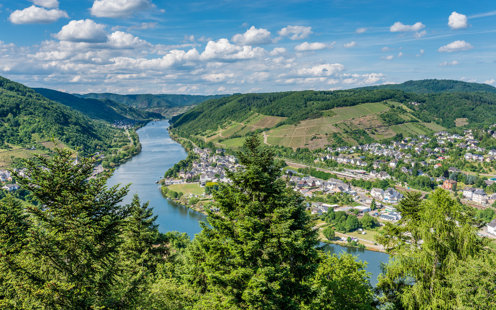 Mosel bei Bullay 13