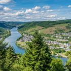 Mosel bei Bullay 13