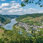 Mosel bei Bullay 39