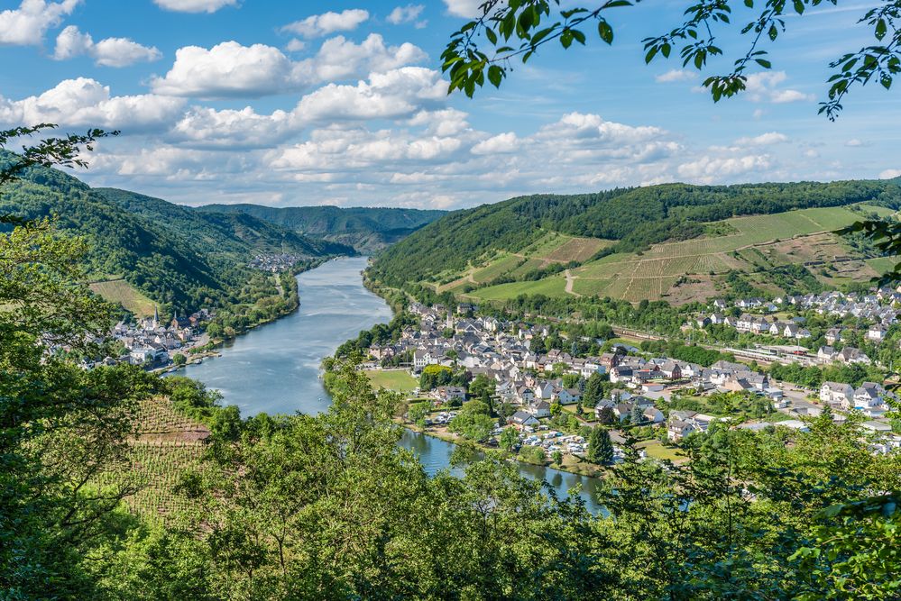 Mosel bei Bullay 39