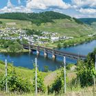 Mosel bei Bullay (6)