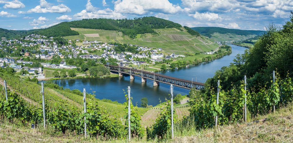 Mosel bei Bullay (6)