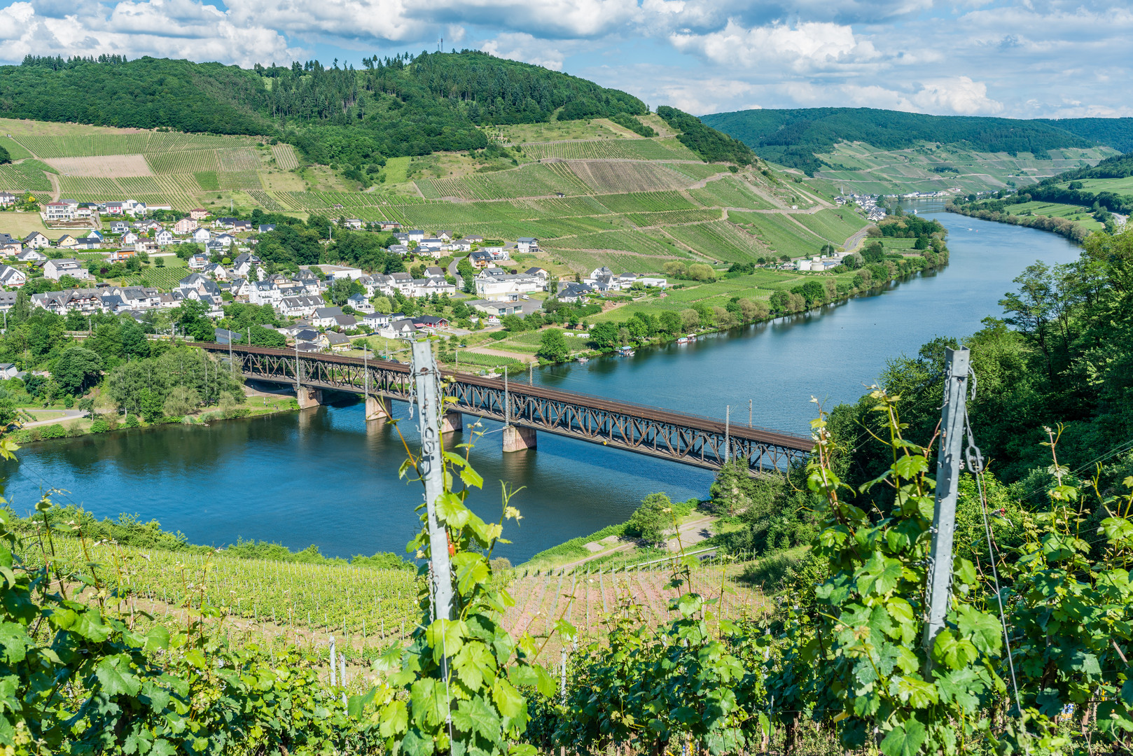 Mosel bei Bullay 84