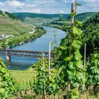 Mosel bei Bullay 91