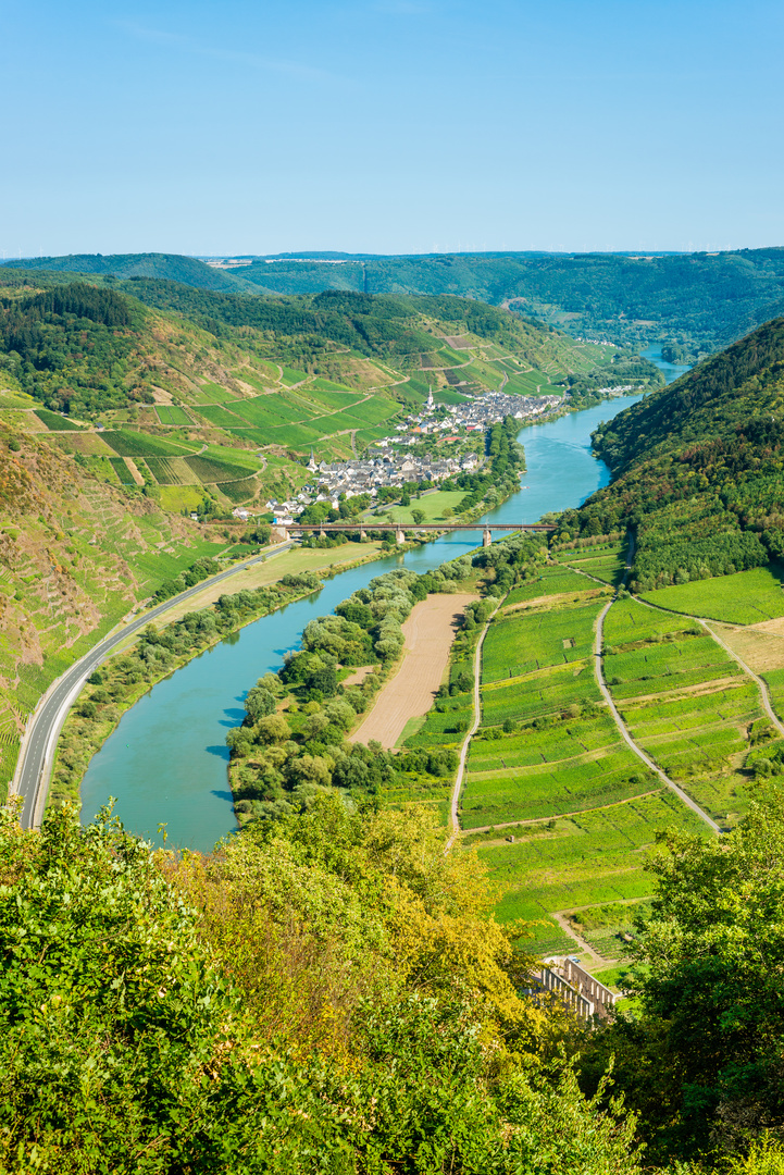 Mosel bei Ediger-Eller 34