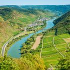 Mosel bei Ediger-Eller 34