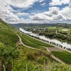 Mosel bei Erden