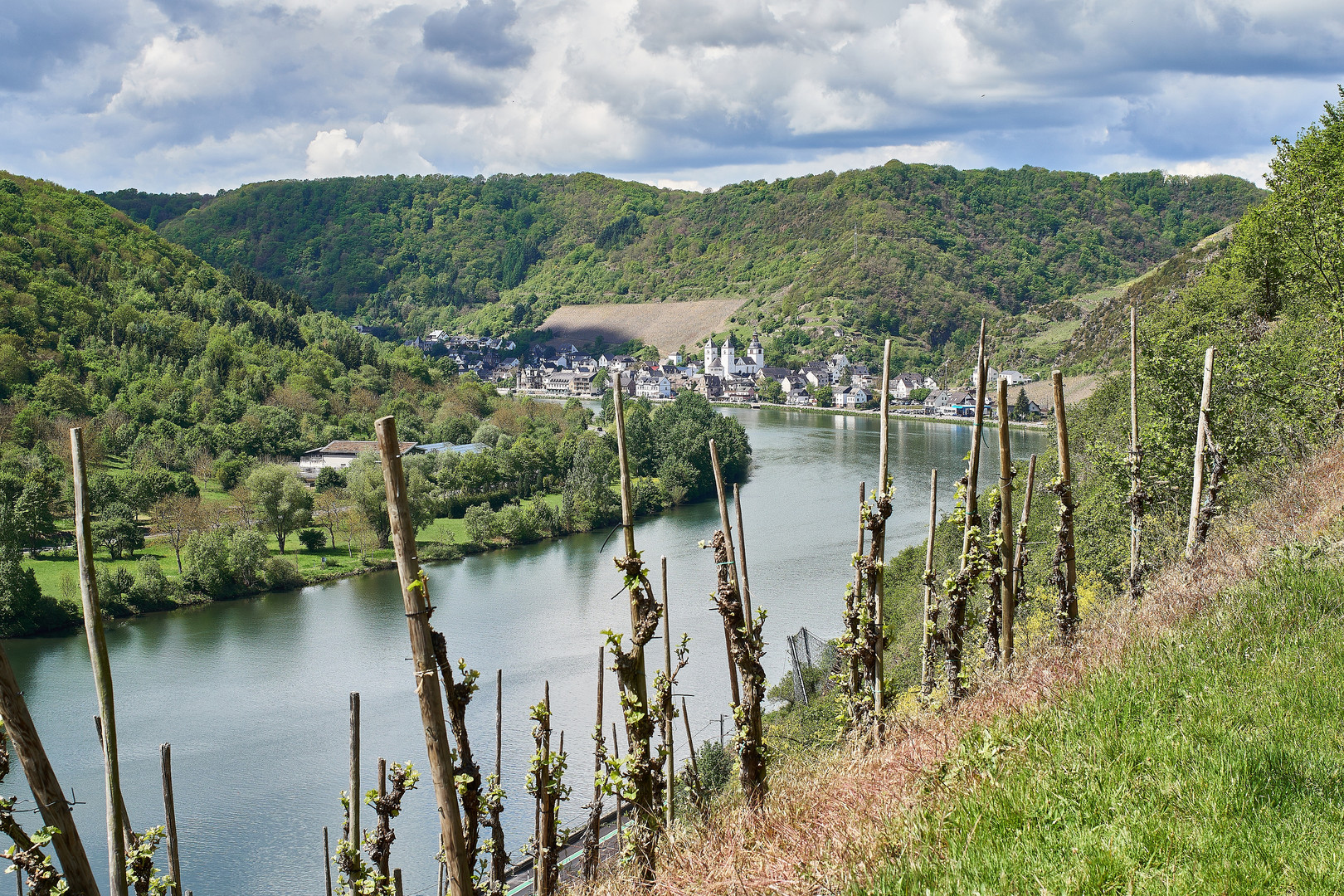 Mosel bei Karden