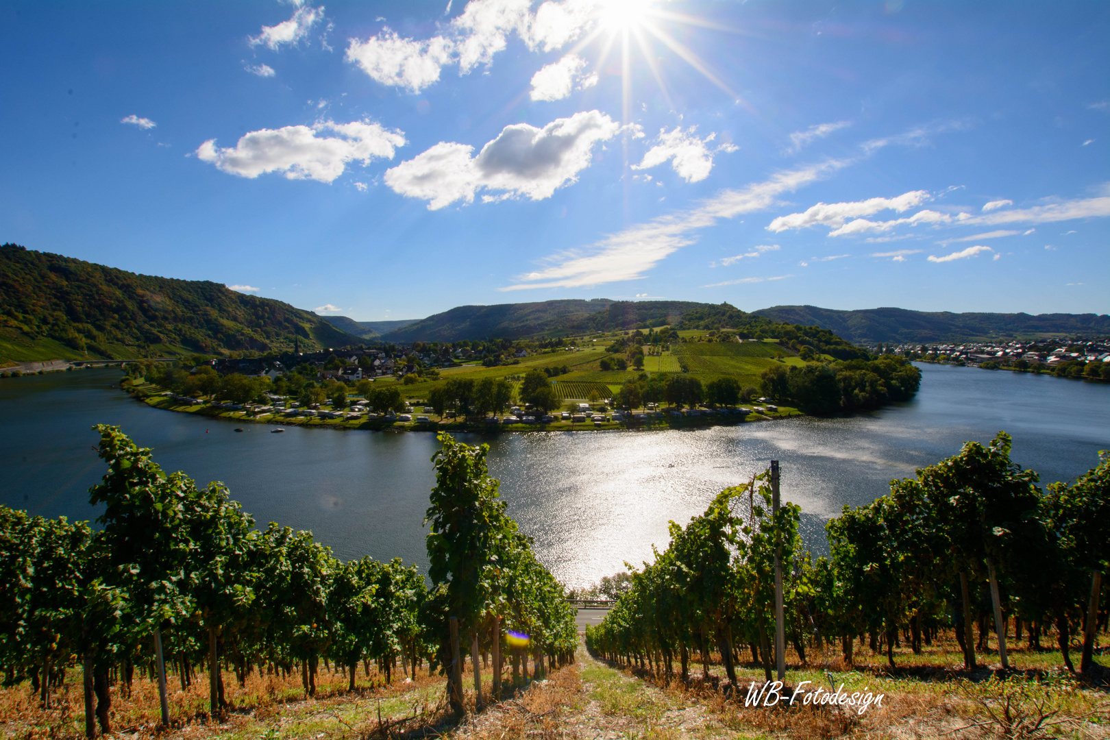 Mosel bei Kröv