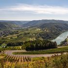 Mosel bei Kröv