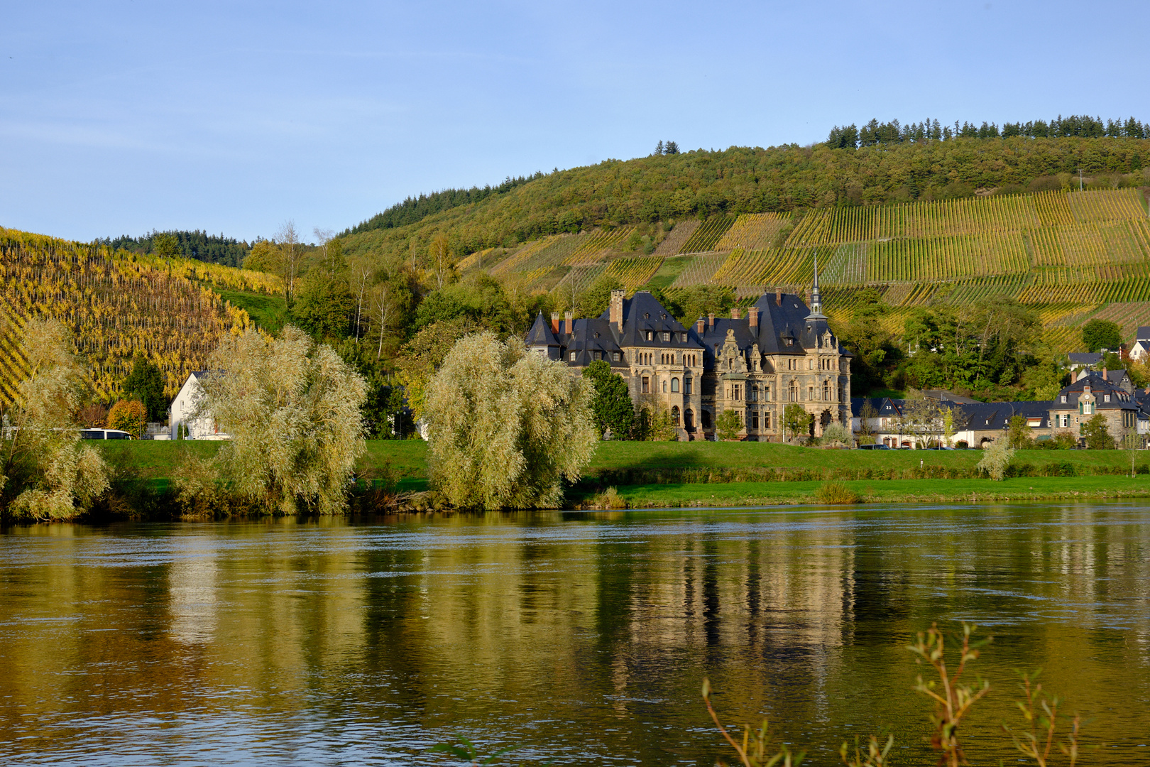 Mosel bei Mülheim