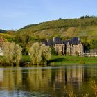 Mosel bei Mülheim