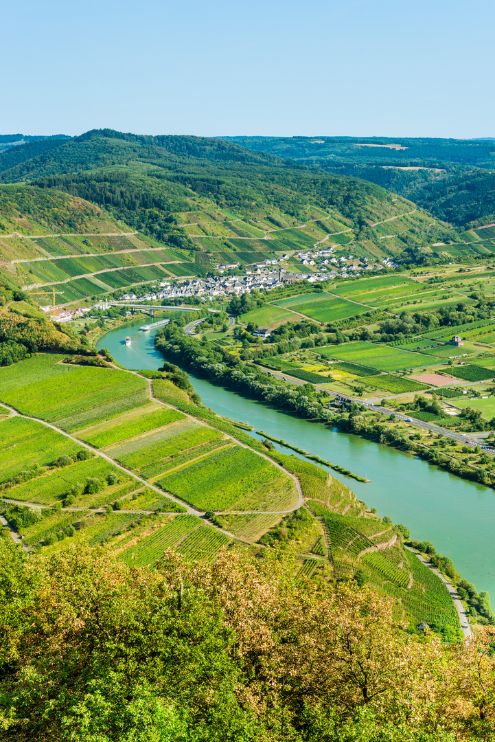 Mosel bei Neef 35