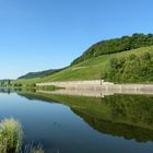 Mosel bei Nittel