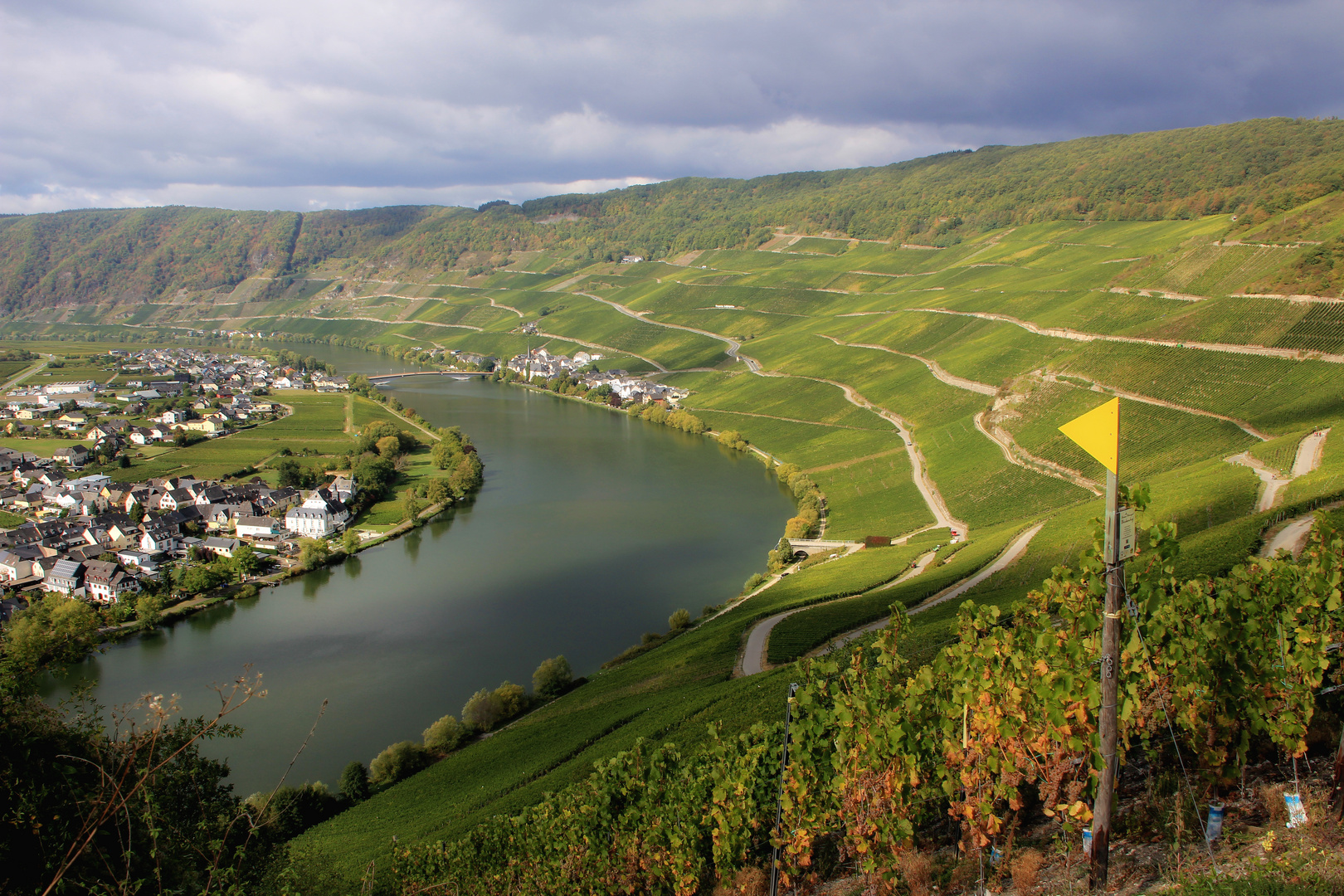 Mosel bei Piesport