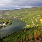 Mosel bei Piesport