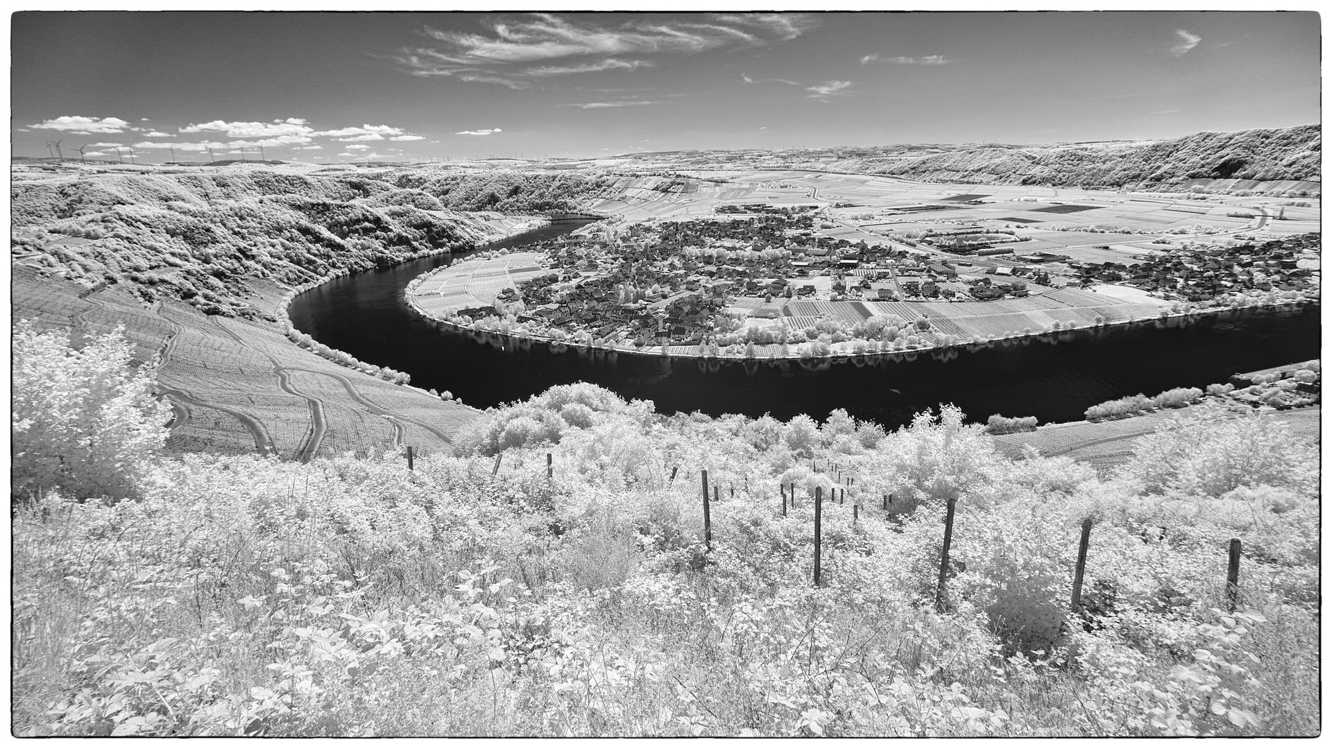 Mosel bei Piesport