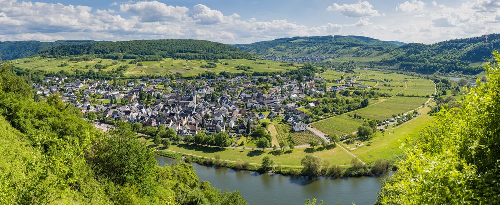 Mosel bei Pünderich (3)