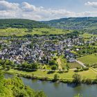 Mosel bei Pünderich (3)