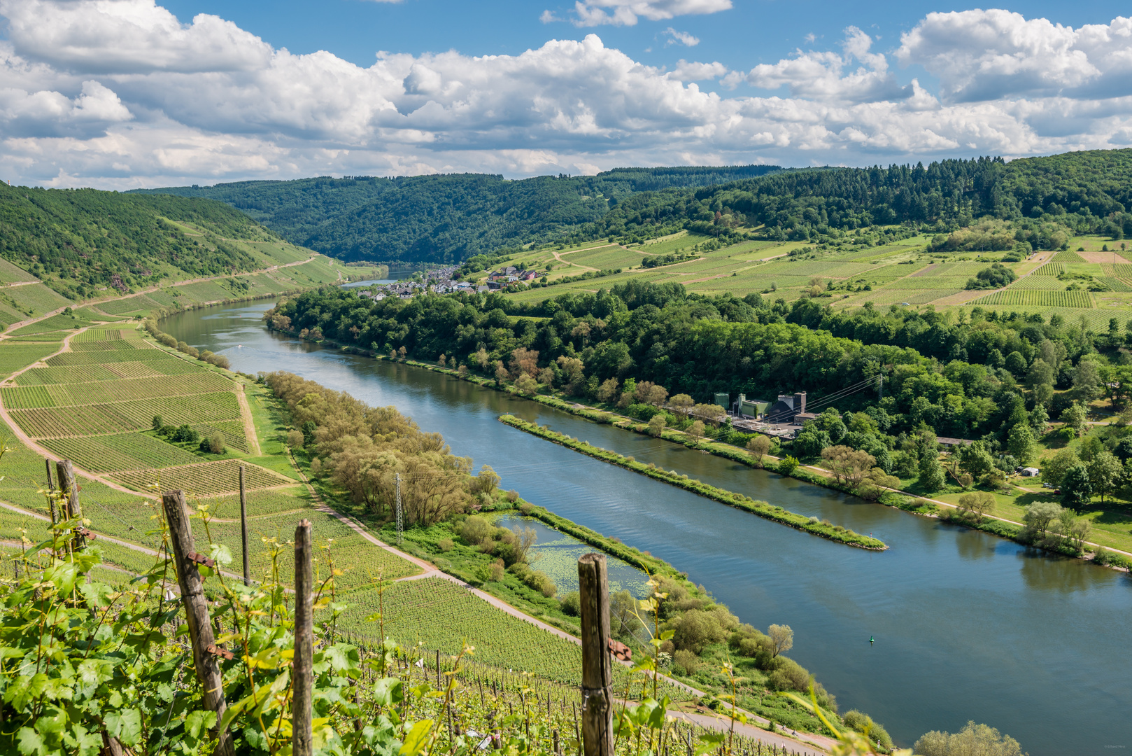 Mosel bei Pünderich 98