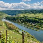 Mosel bei Pünderich 98