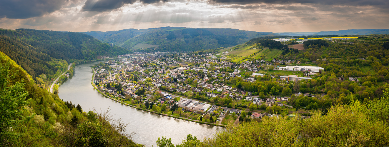 Mosel bei Traben-Trarbach (10)