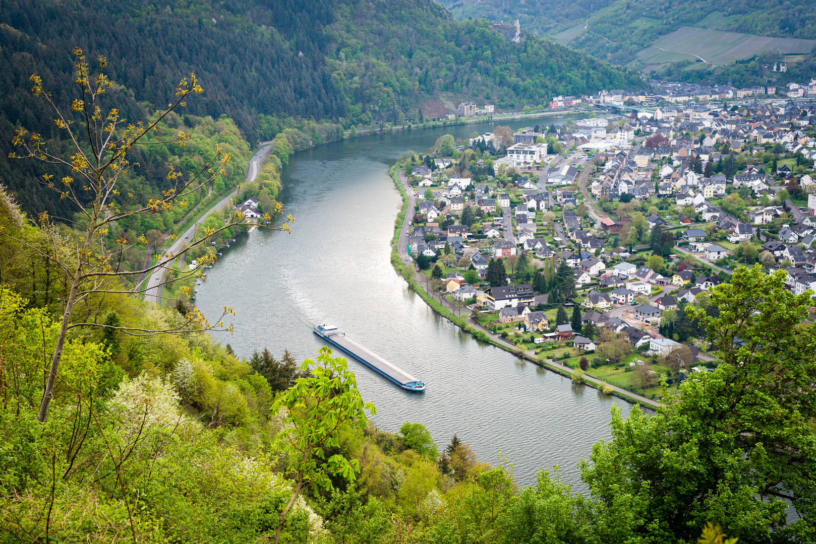 Mosel bei Traben-Trarbach 17