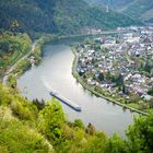 Mosel bei Traben-Trarbach 17