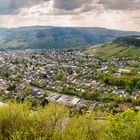 Mosel bei Traben-Trarbach (3)