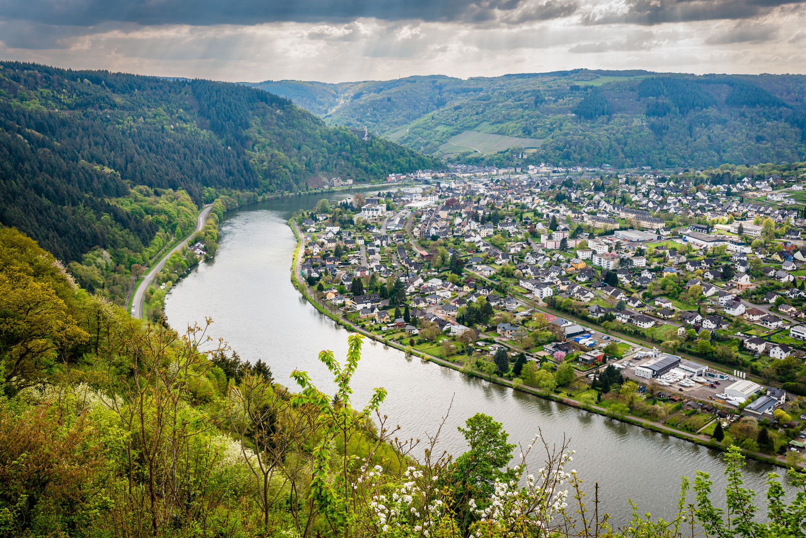 Mosel bei Traben-Trarbach 36