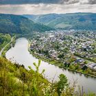 Mosel bei Traben-Trarbach 36