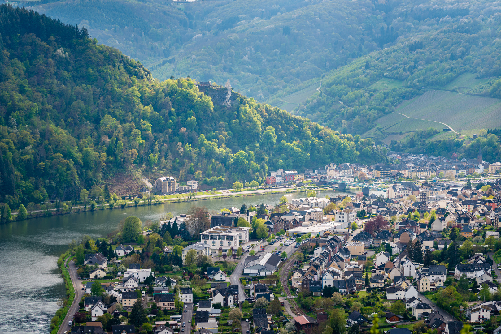 Mosel bei Traben-Trarbach 77