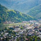 Mosel bei Traben-Trarbach 77